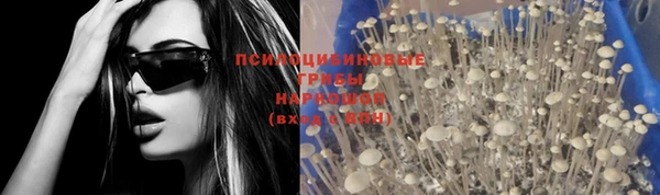 ГАЛЛЮЦИНОГЕННЫЕ ГРИБЫ Алексин
