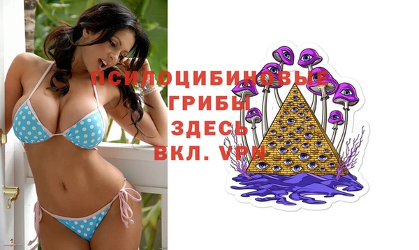 ГАЛЛЮЦИНОГЕННЫЕ ГРИБЫ Алексин
