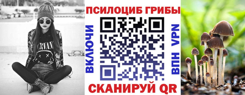 Псилоцибиновые грибы мухоморы  Снежногорск 
