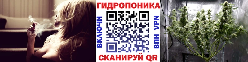 Шишки марихуана индика  Снежногорск 